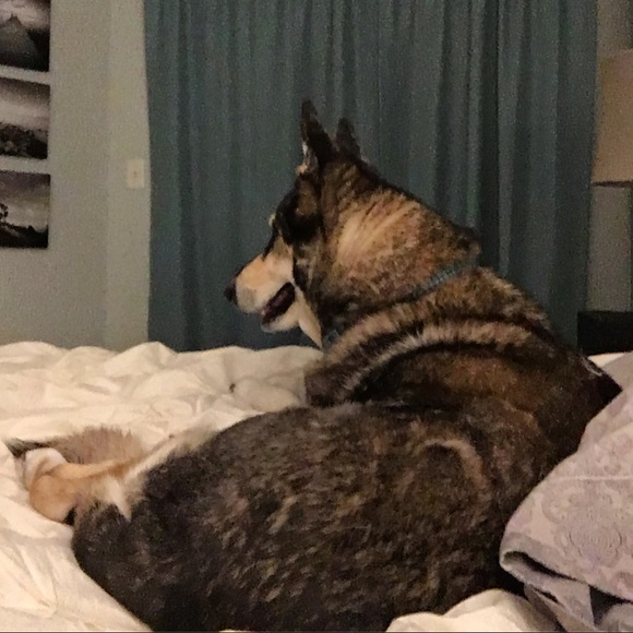 Meet your Poshmark ambassador , Ashley - Picture 2 of 2